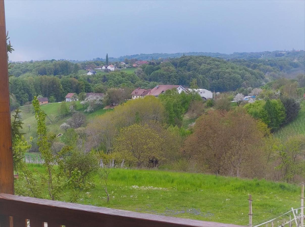 Apartma-Spa Natura Sveti Jurij ob Scavnici Eksteriør billede